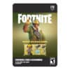 FORTNITE PACK INICIO AVE RAPAZ