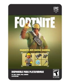 FORTNITE PACK INICIO AVE RAPAZ
